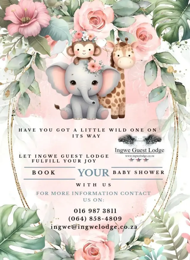 🎀 Book Your Baby Shower